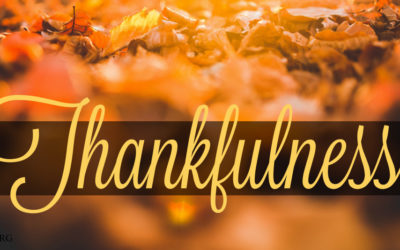 3 Weeks of Thankfulness: Week 3