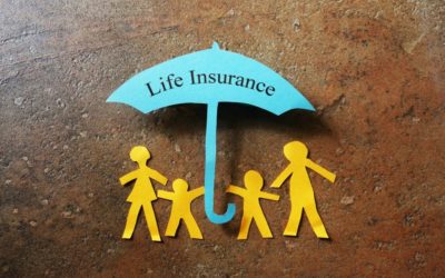 Term Life or Whole Life Insurance